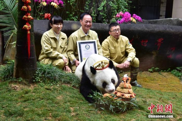 全网最全版“大熊猫体育天团”全家福来了：从